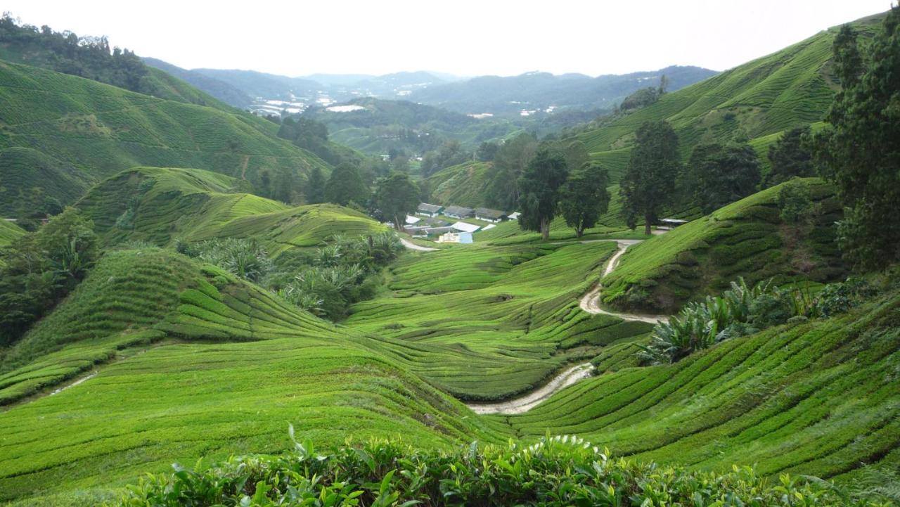 The Quintet Cameron Highlands By Tulip タナ・ラタ エクステリア 写真